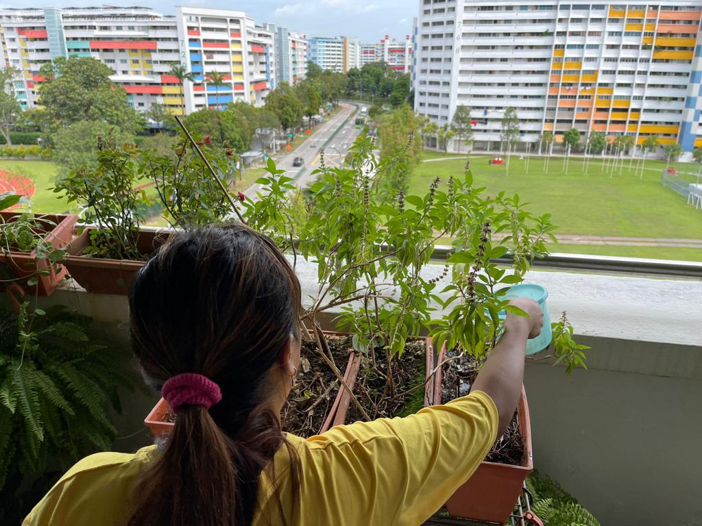 Indonesian Helper gardening